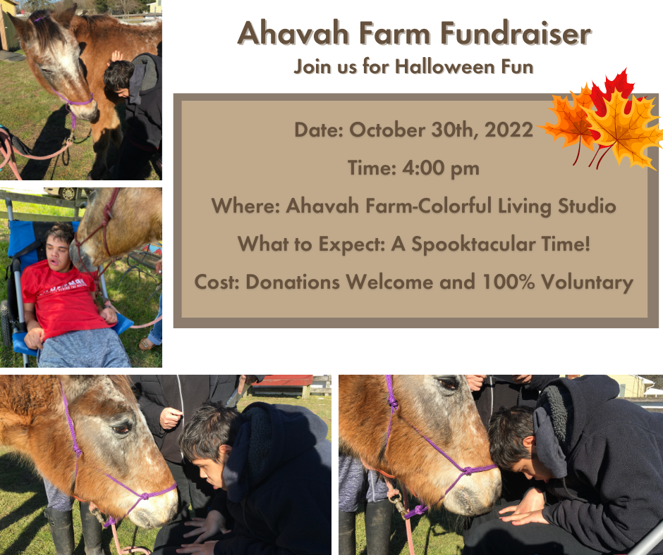 Ahavah Farm Fundraiser