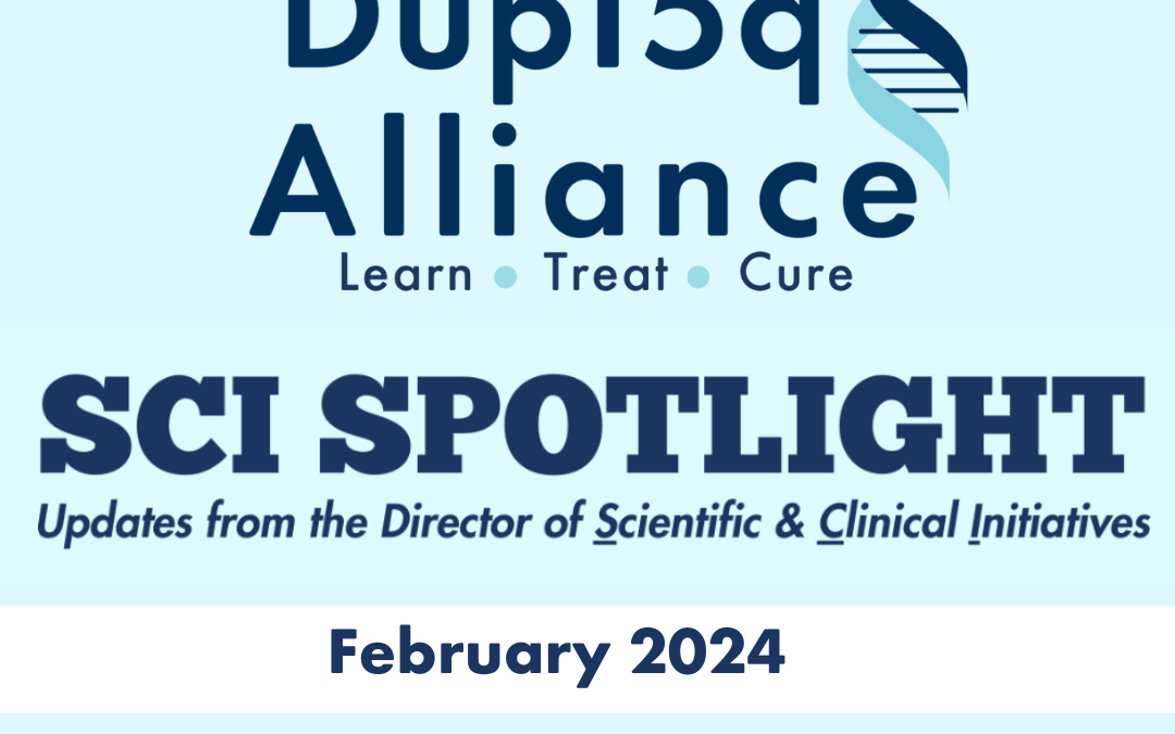 SCI Spotlight Newsletter Februar 2024